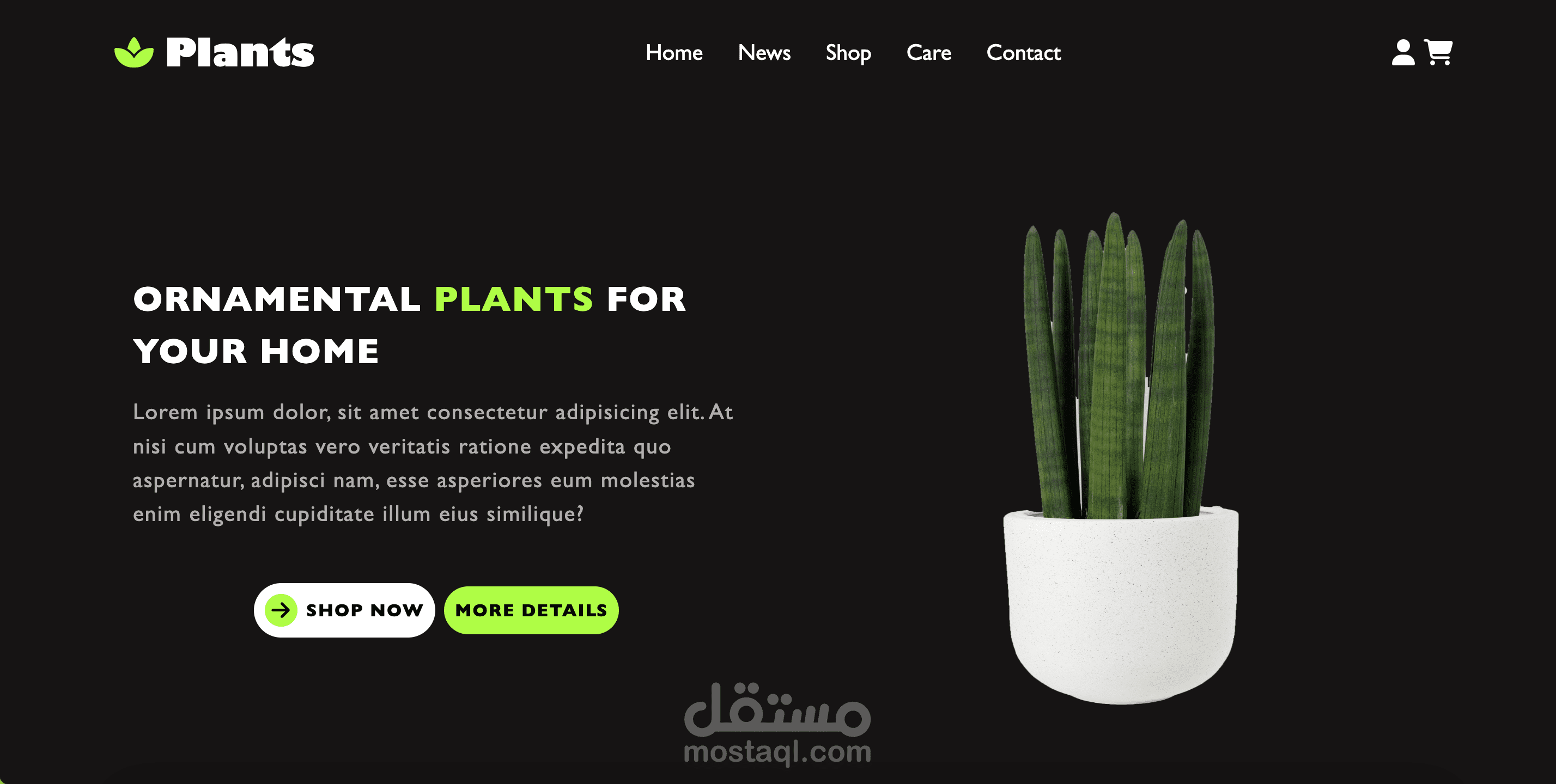 (ReactJs- TailwindCSS)Plant Website