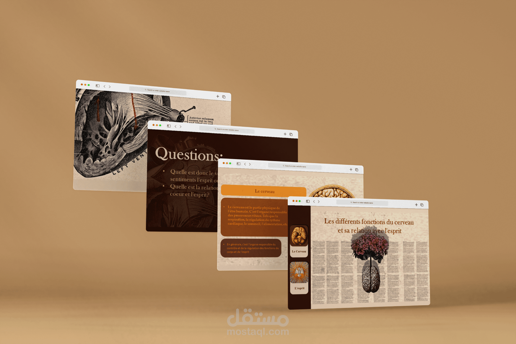 تصميم عرض باوربوينت