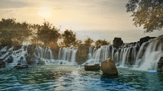 فيديو تعليمي