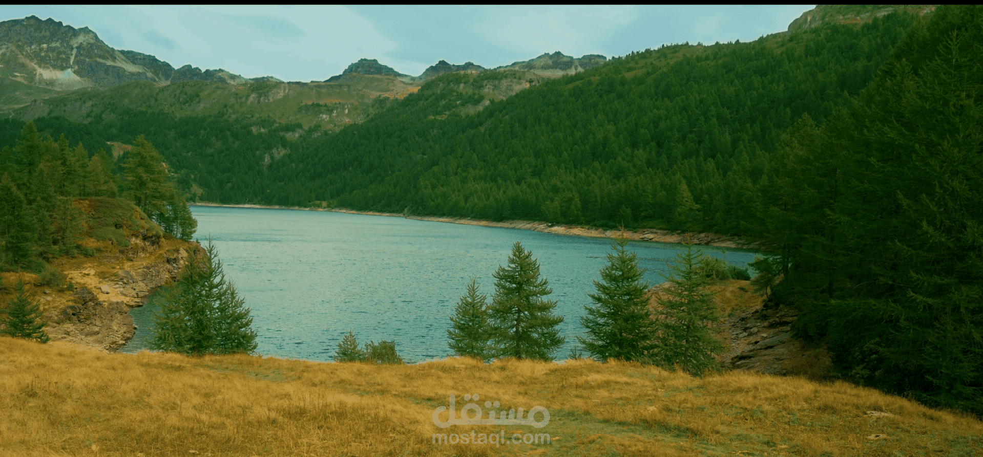 Color Grading | تلوين