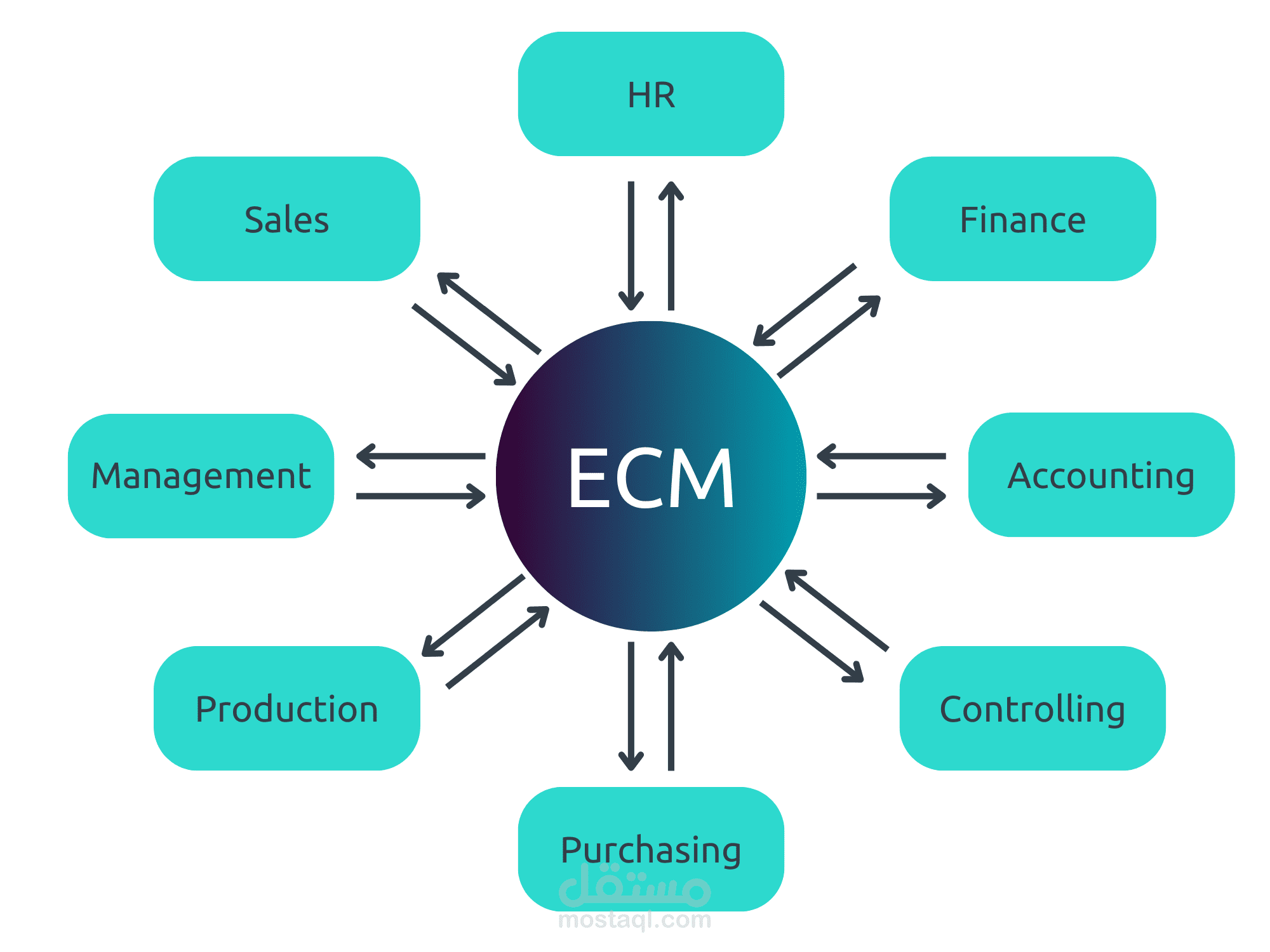 العمل على أنظمة الـ ECM (Enterprise Content Management)