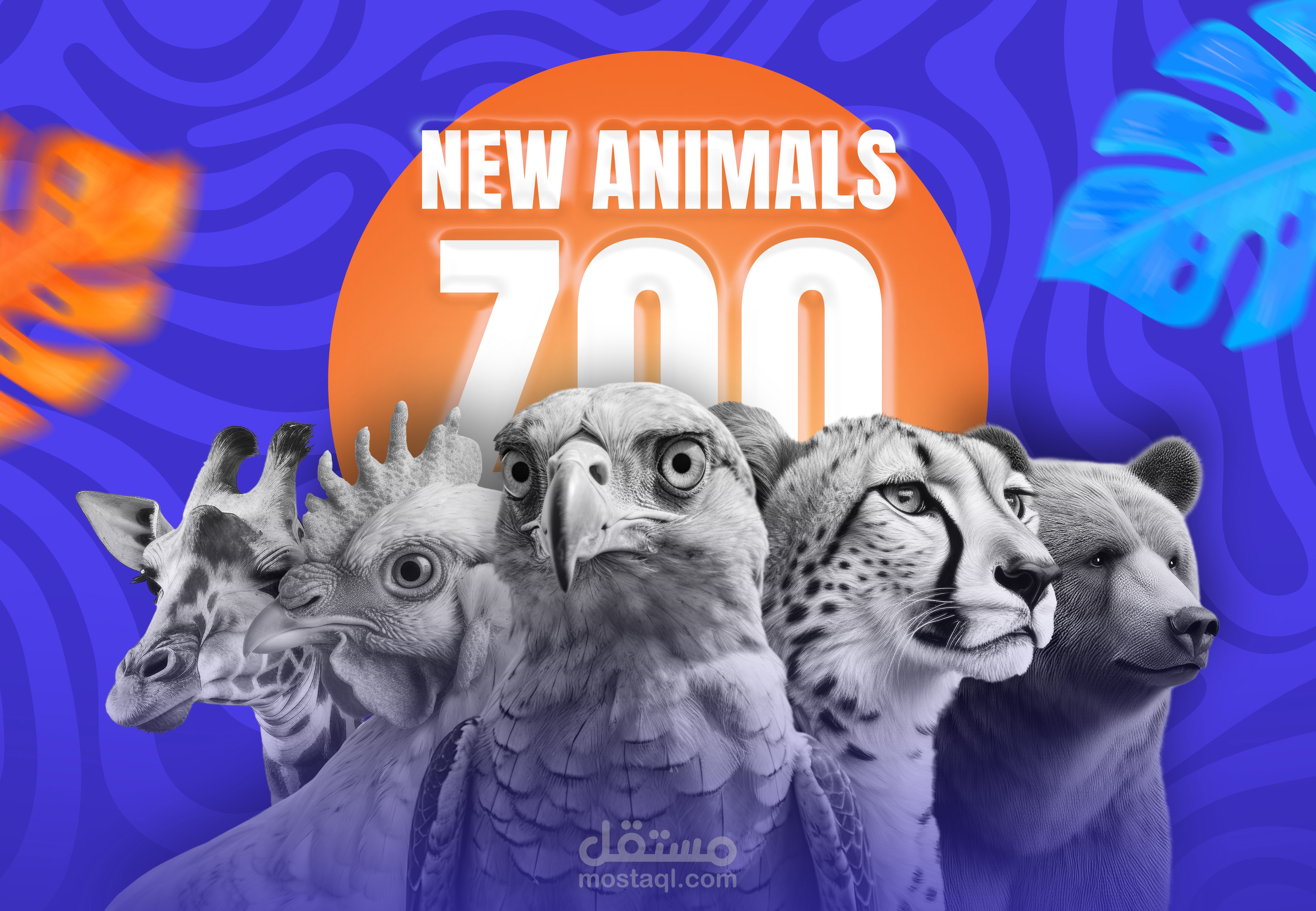 Social media design for the zoo