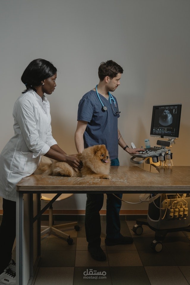 community veterinary clinics