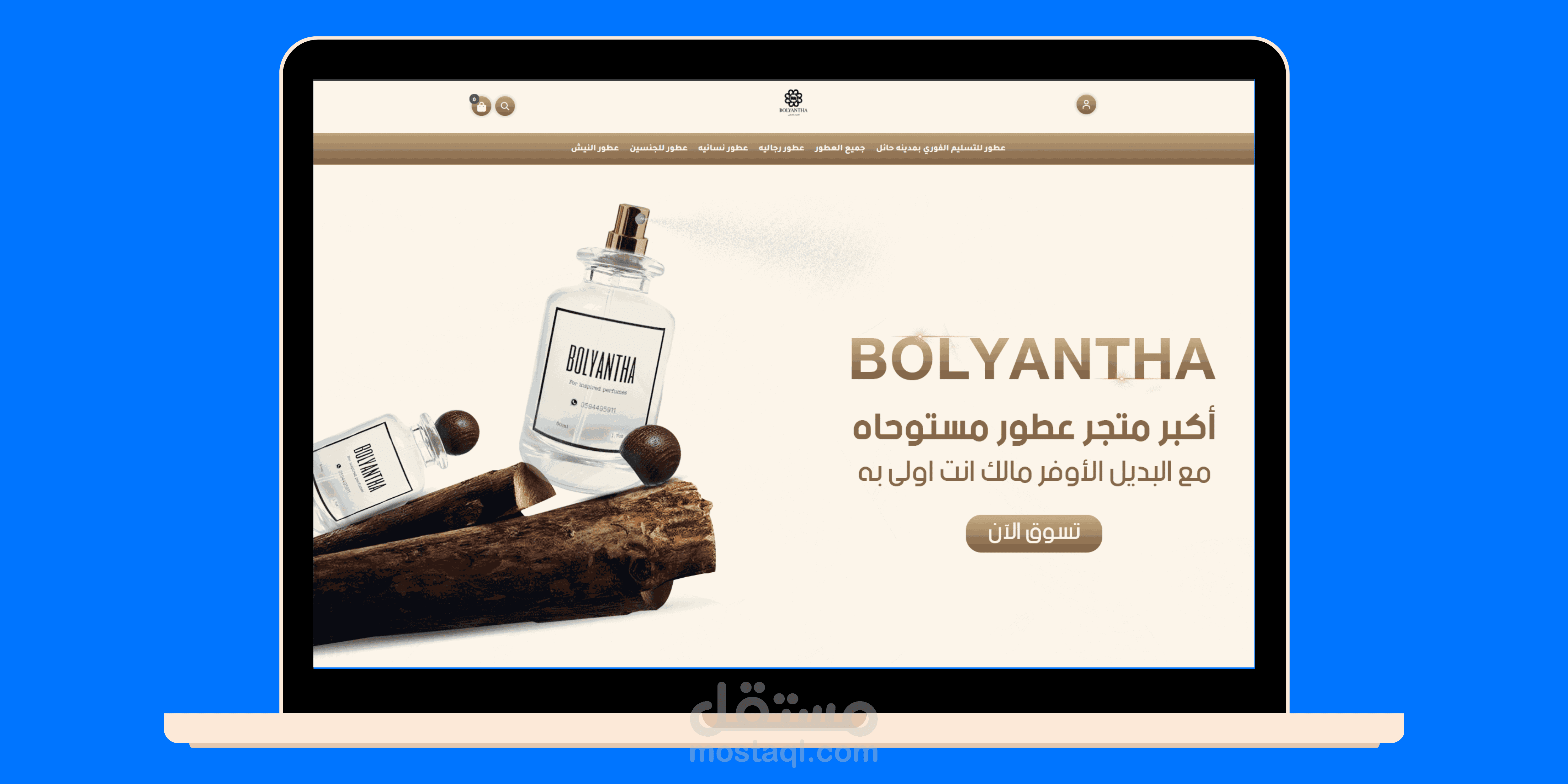 تصميم موقع احترافي على منصه سلة