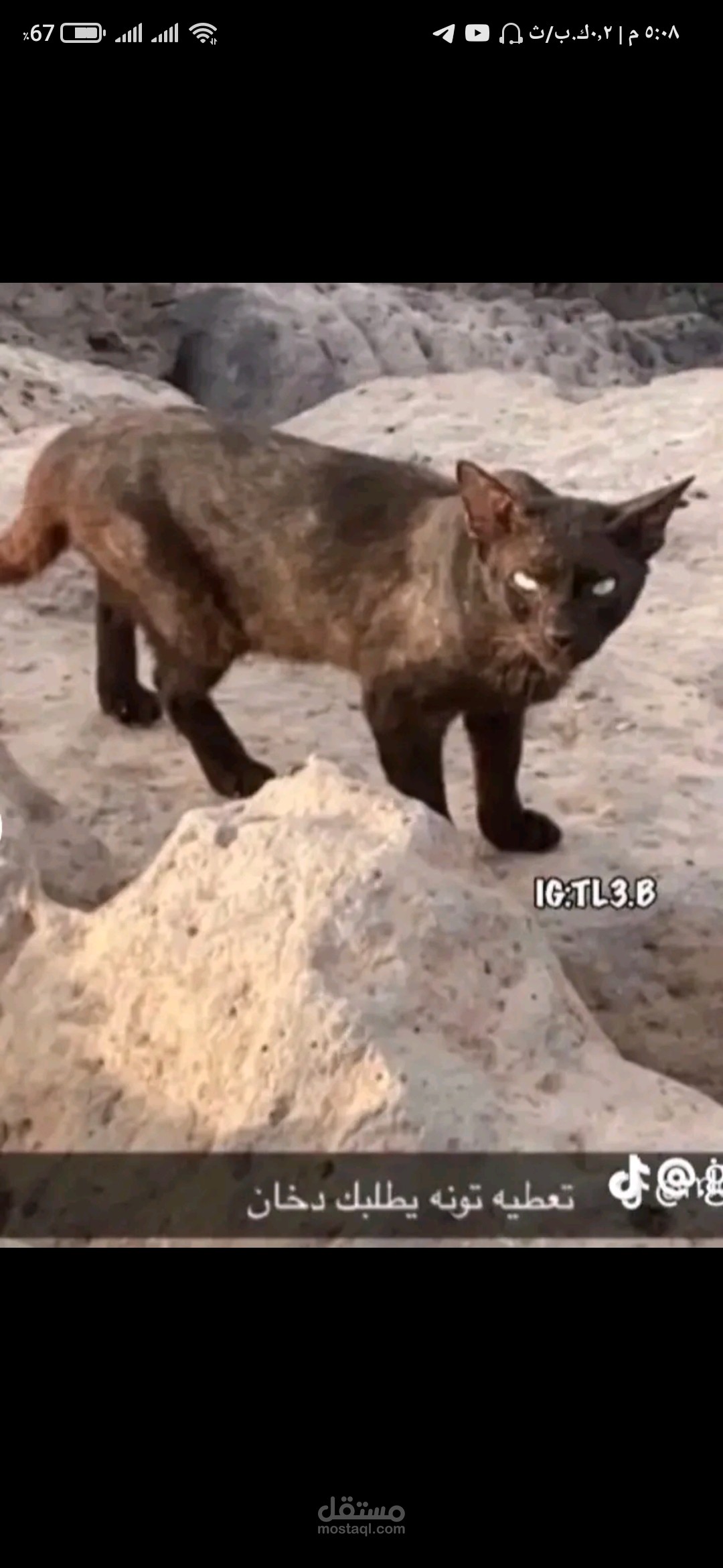 صناعة قصص كاملة