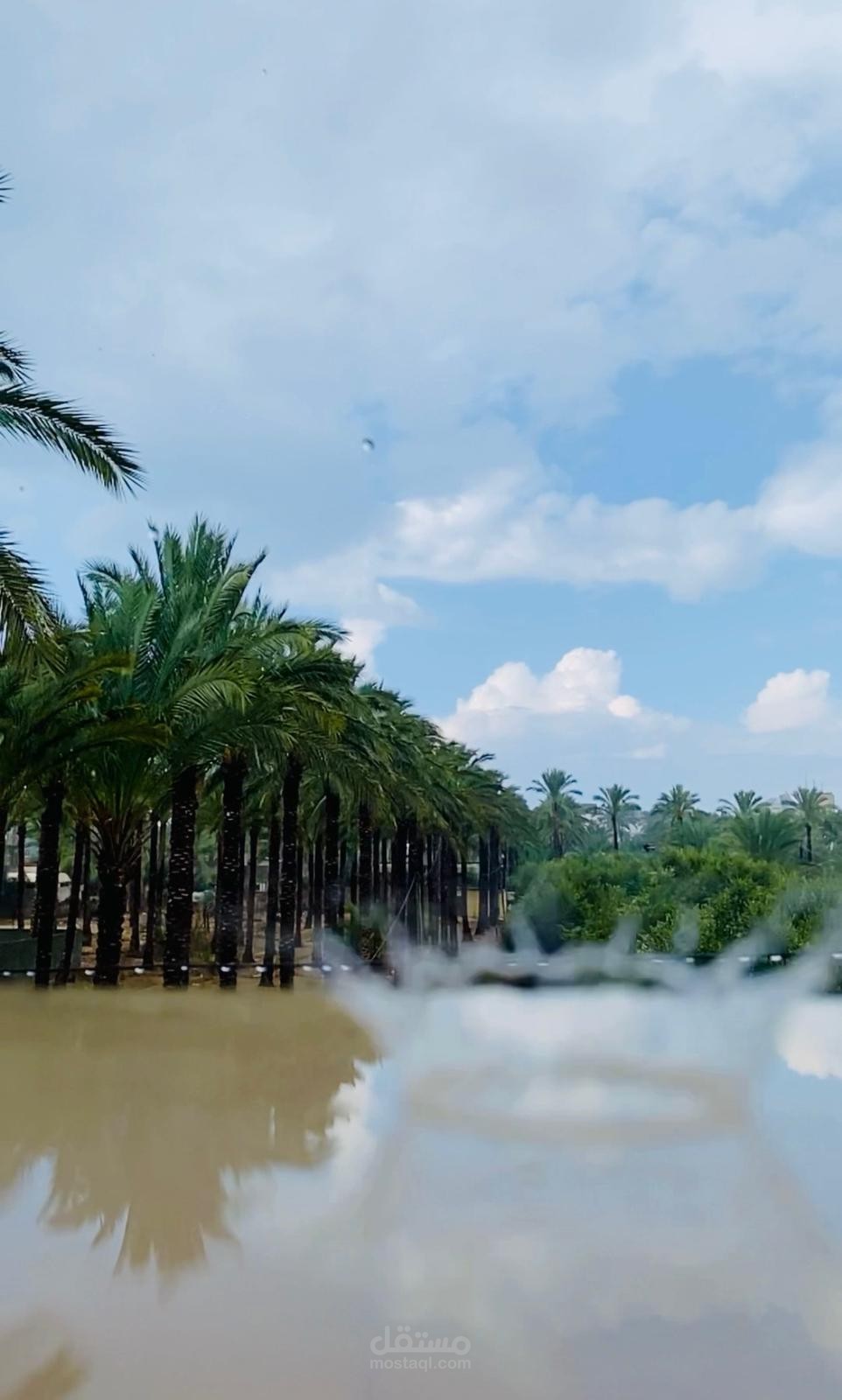 قطرات المطر.