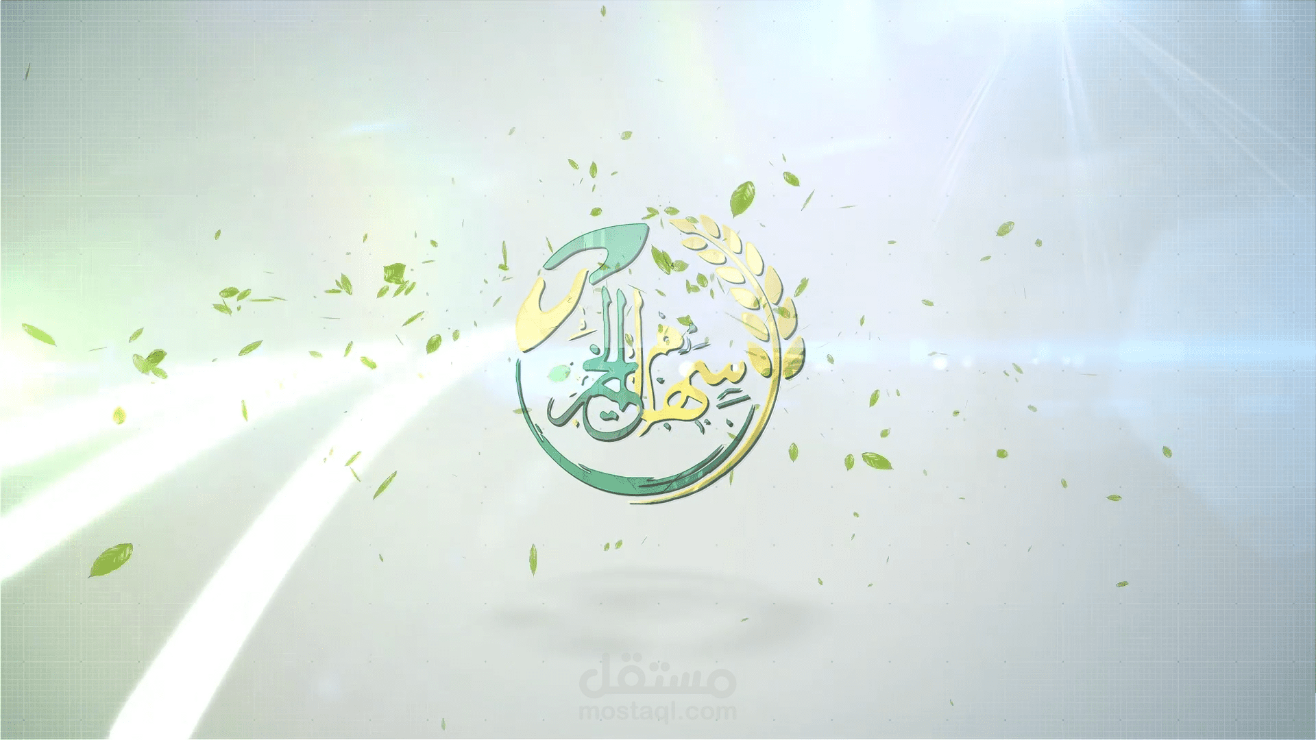 اعلان تلفزيوني : أخراج فيديوهات من اول التصوير الي الاعلان علي الفضائيات