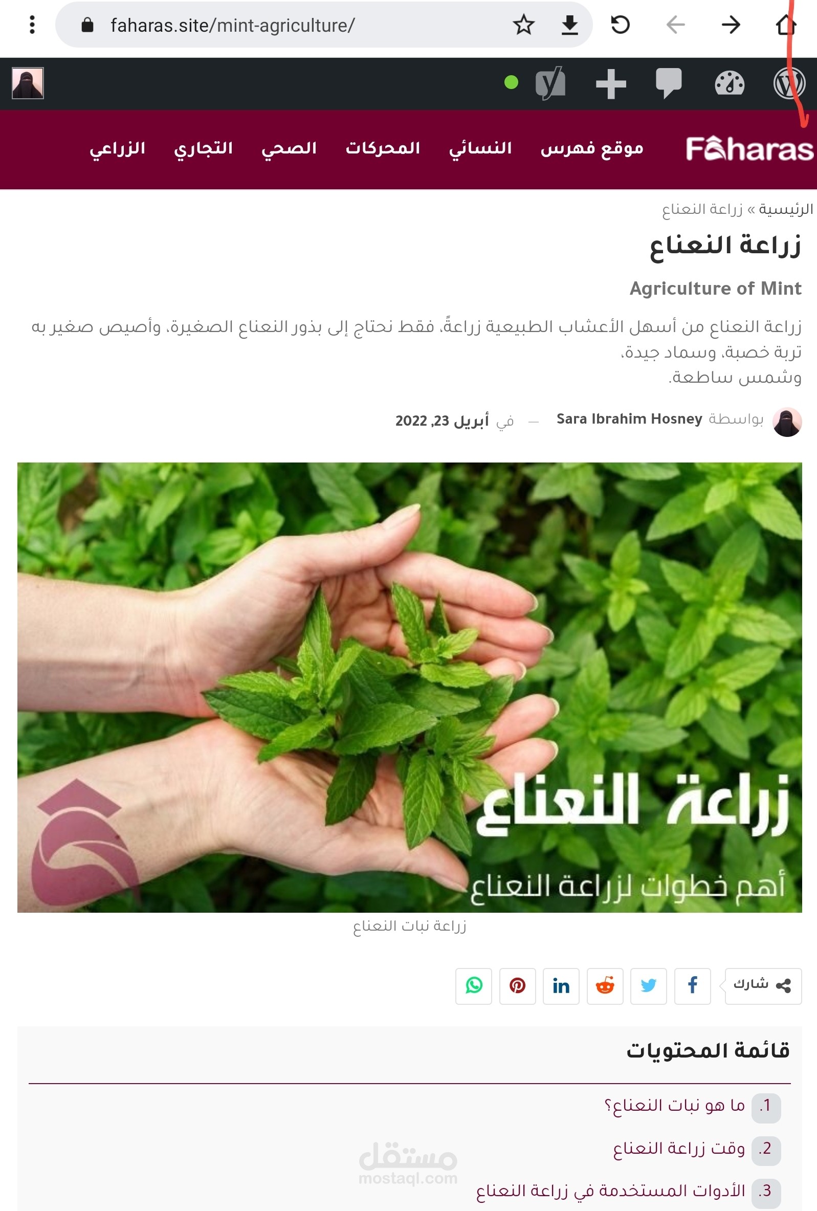 كتابة مقال