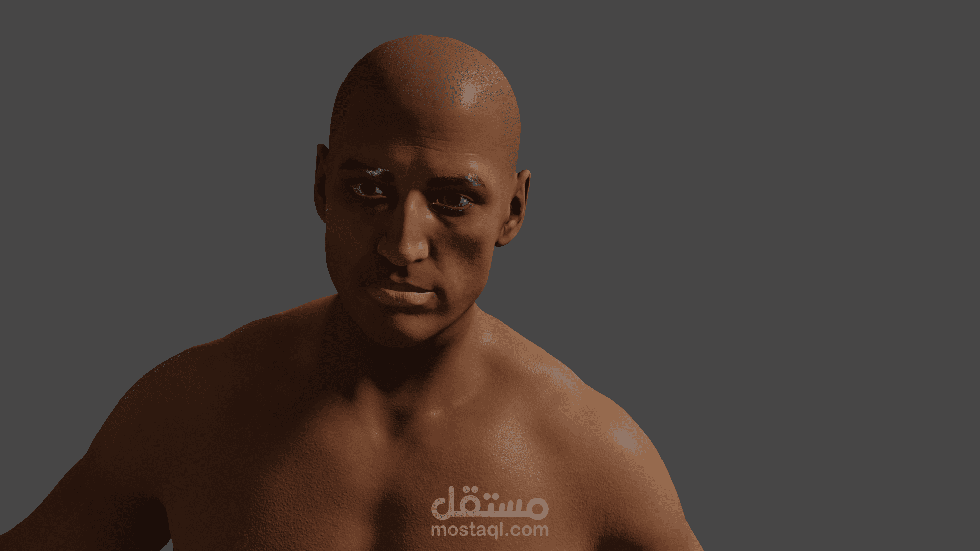 3d human portrait