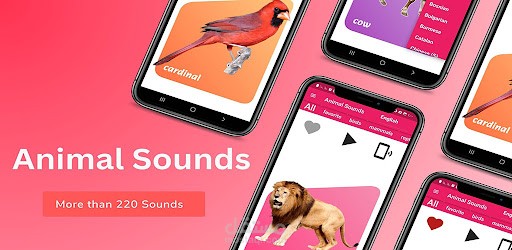 اصوات الحيوانات