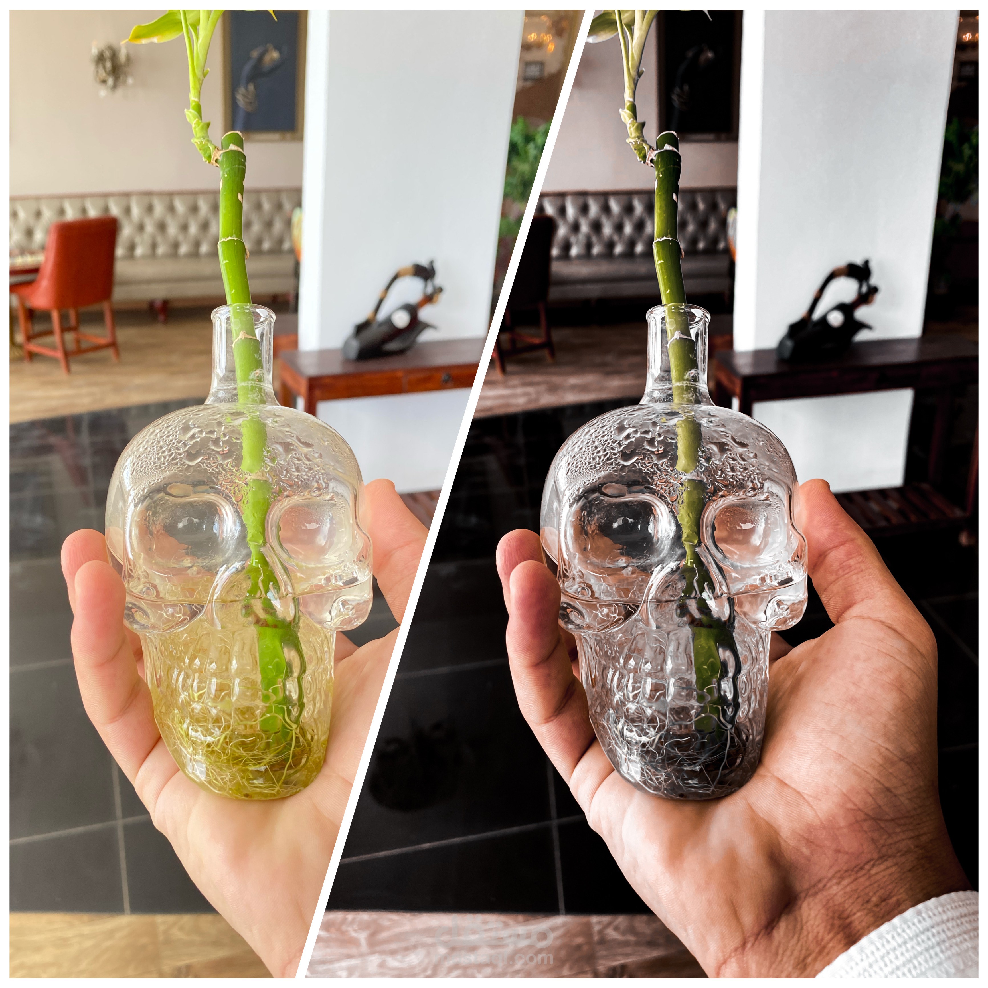 تعديل الصور