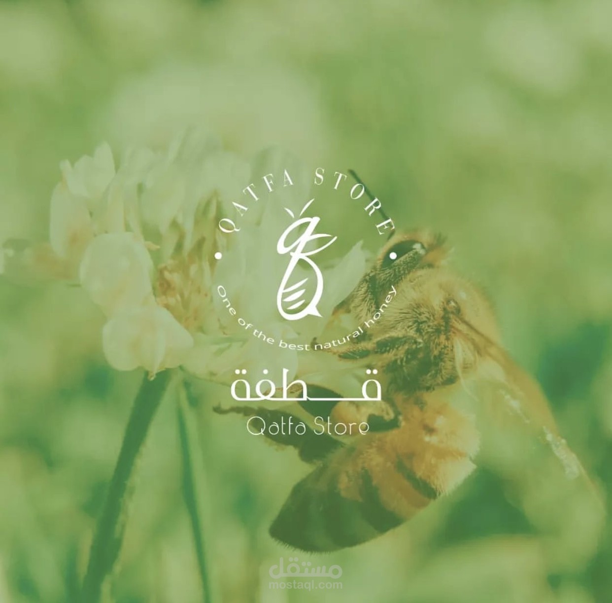 لوقو ( قطفه )