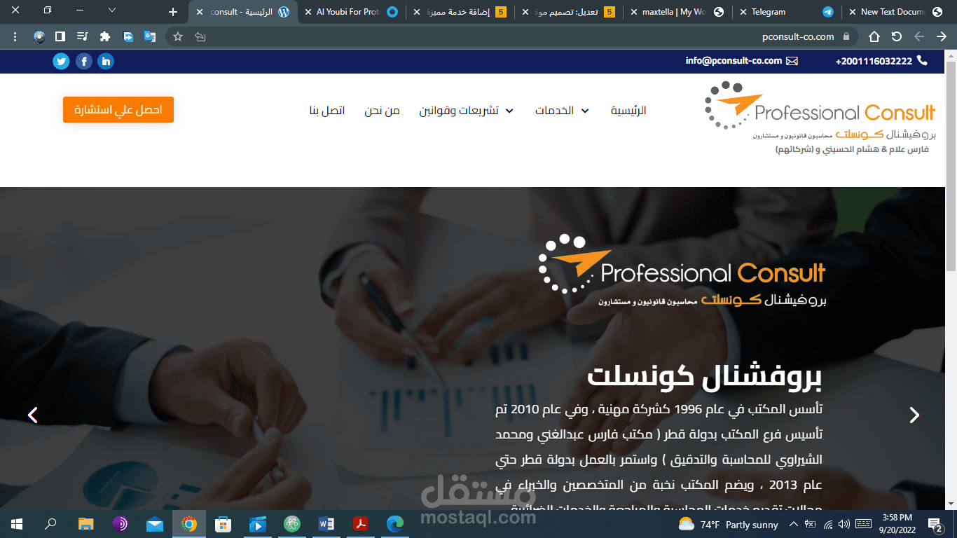 بروفيشنال كونسلت