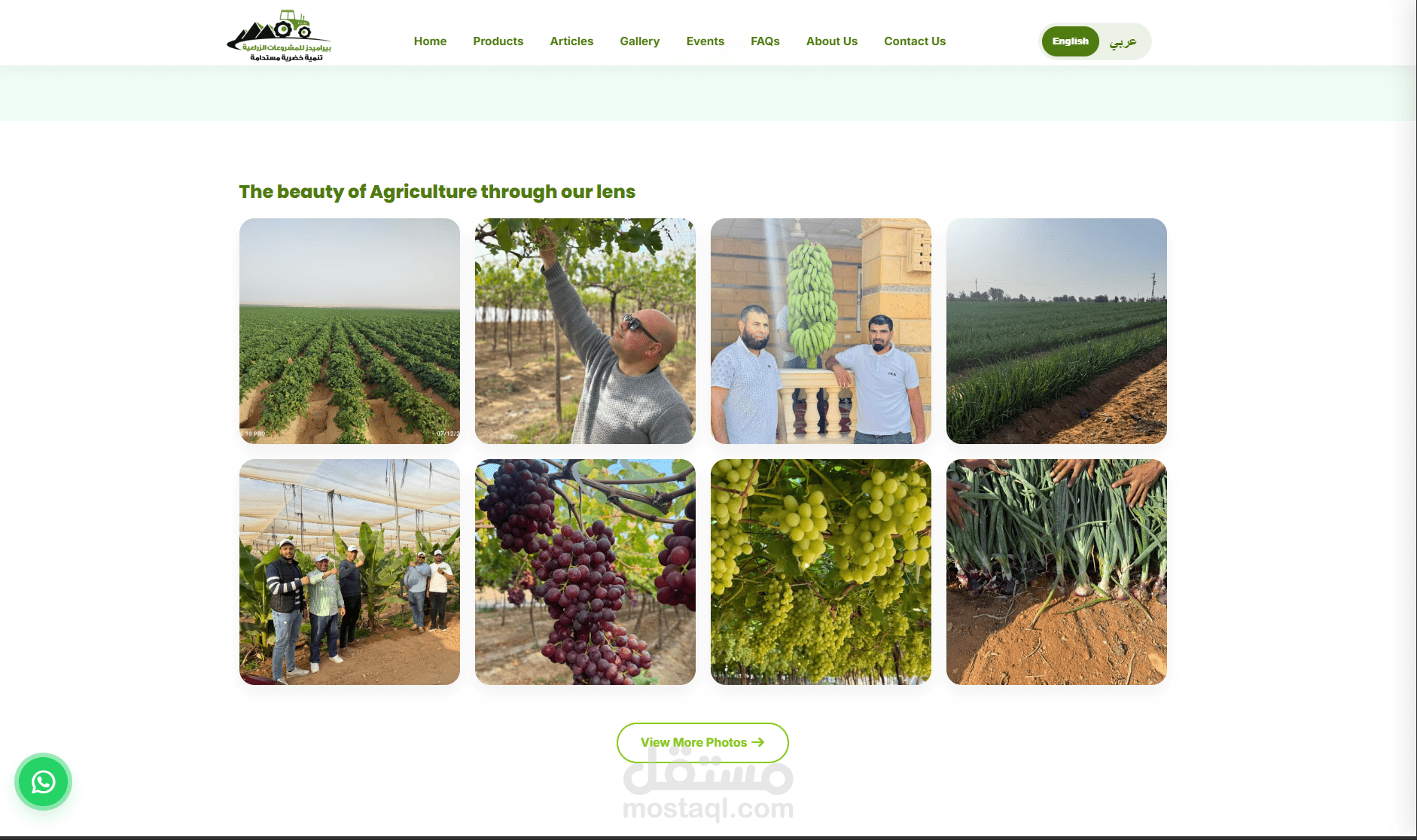 Promotional website for Pyramids Agricultural Company