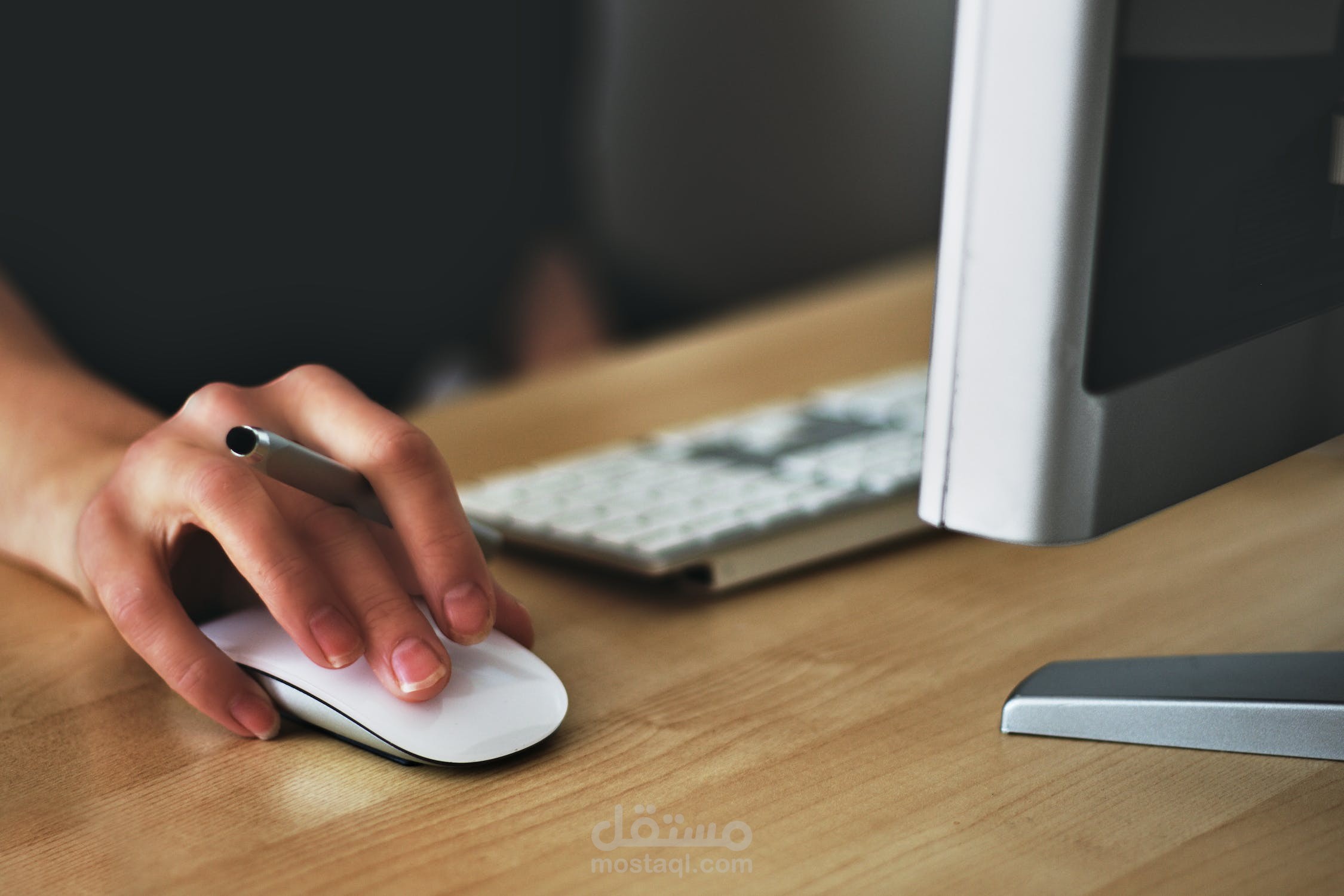 مقال عن المجتمع القطري