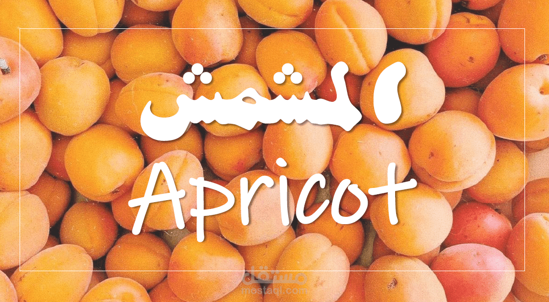 تصميم عروض تقديمية احترافية – اجعل أفكارك تتألق وتبهر جمهورك!