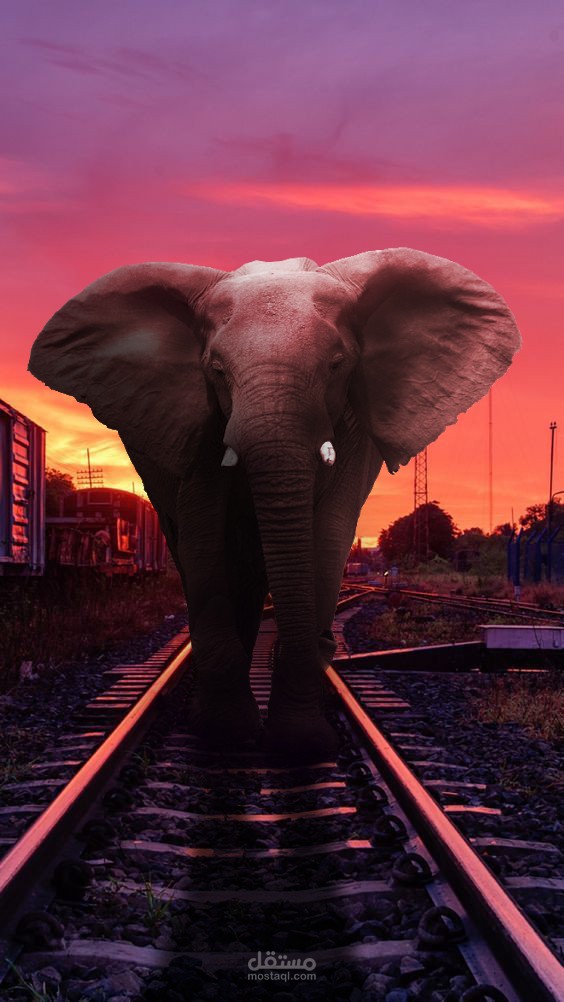 دمج وتعديل صورة