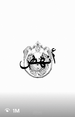 مونتاج فايرل لريلز انستاجرام وتيك توك حقق مليون مشاهده