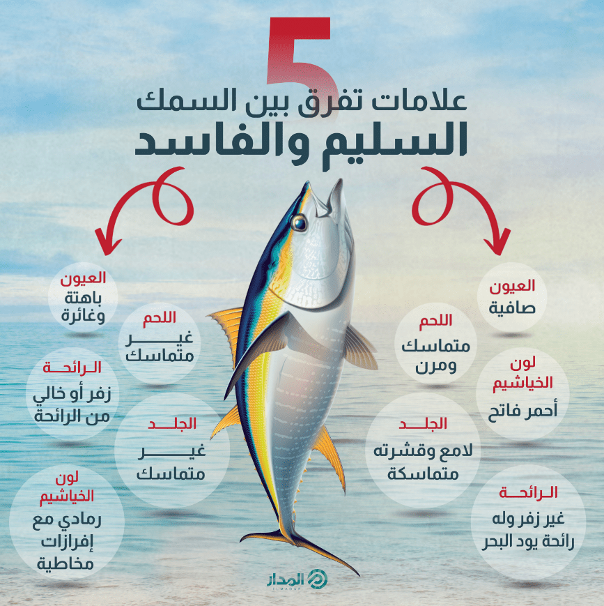 تصميمات انفوجرافات