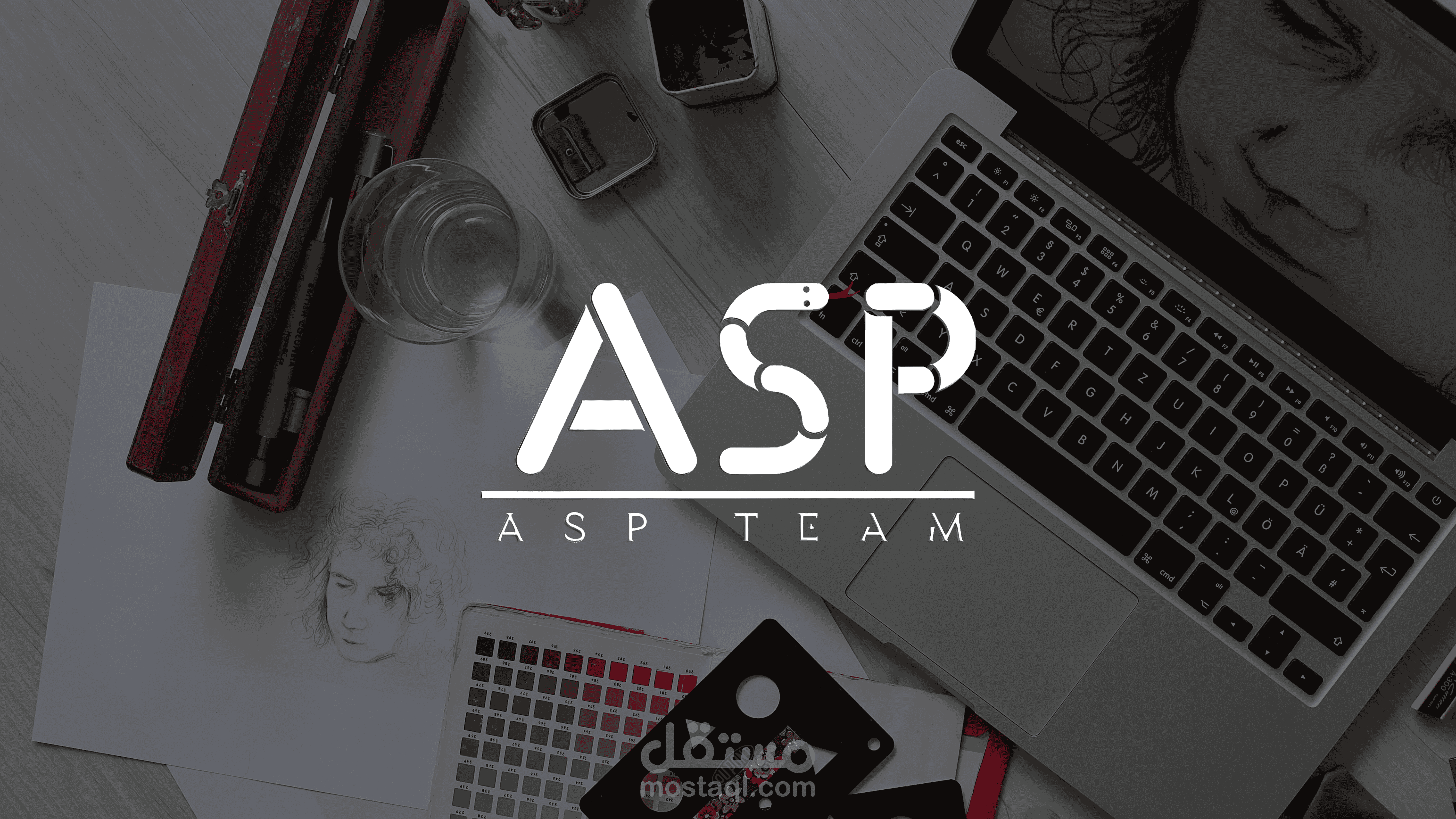 Brand Identity For ASP Team