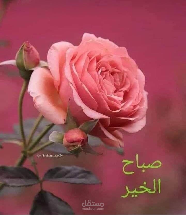 القيام باعمال فوتوشوب وترجمة وتعديل صور و 3d