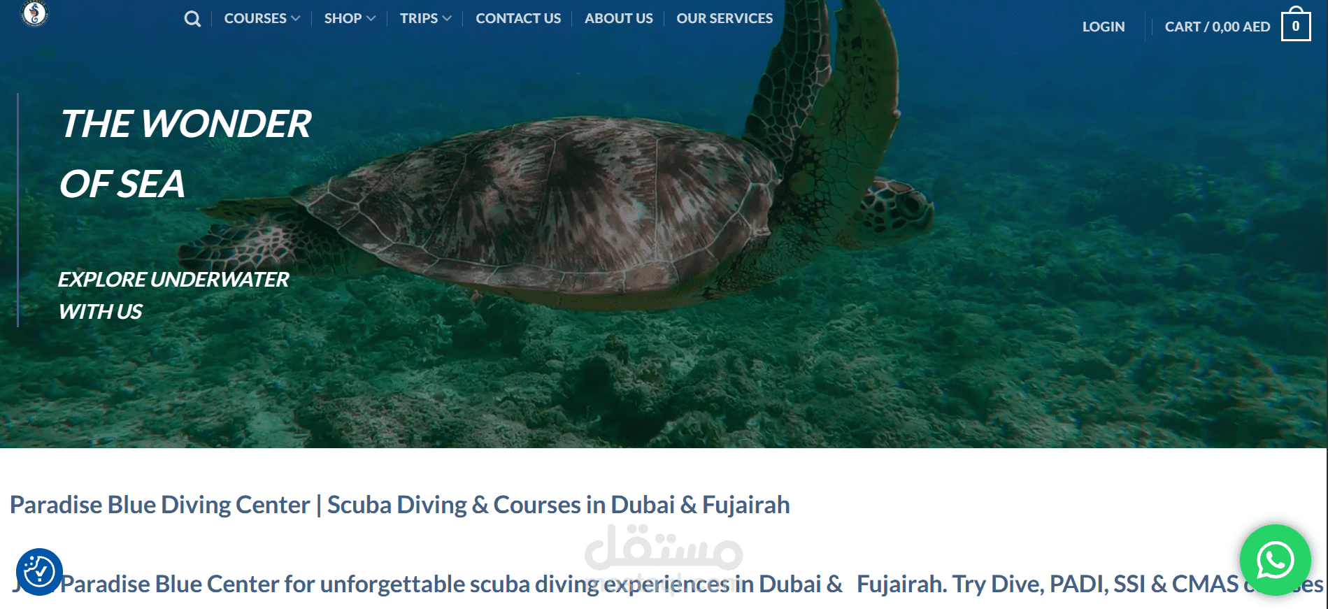 تطوير موقع مركز غوص وتحسين نظام توليد العملاء والحجوزات  Paradise Blue Diving Center (UAE)