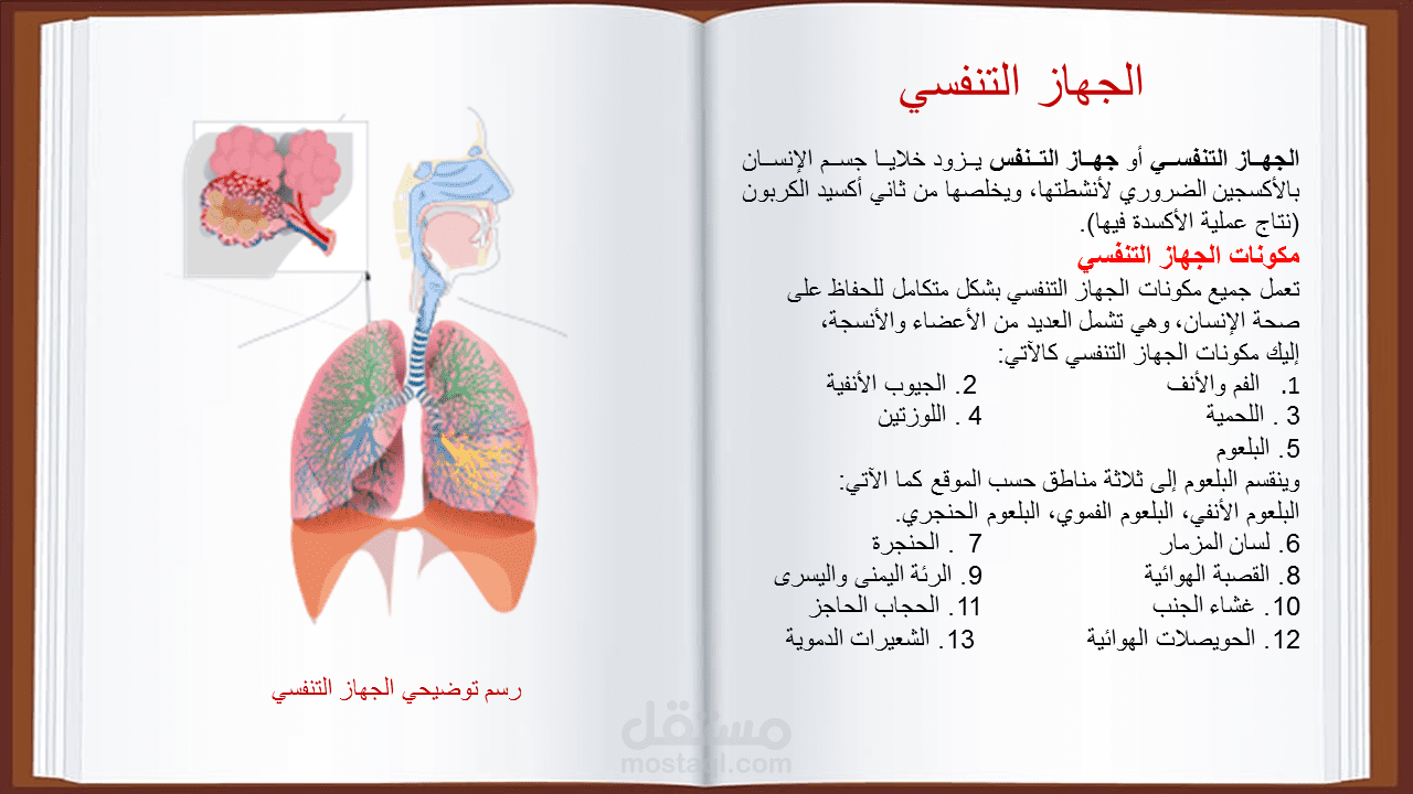 إنشاء عروض بوربوينت احترافي تعليمي