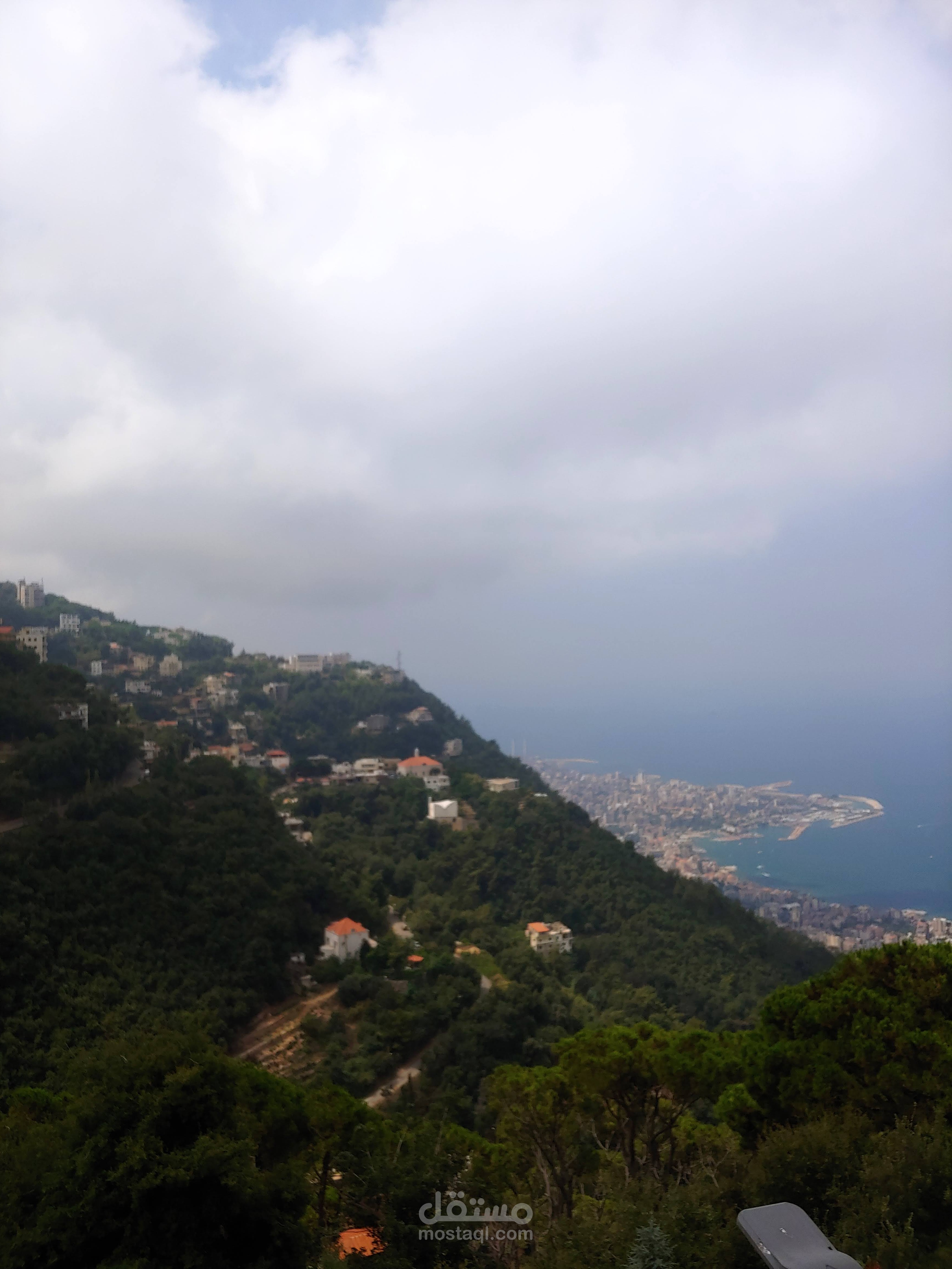 تصوير الطبيعة
