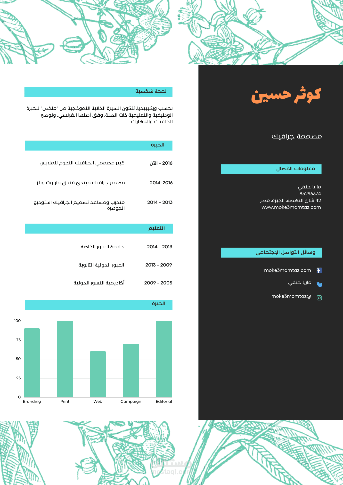 CV أو سيرة ذاتية