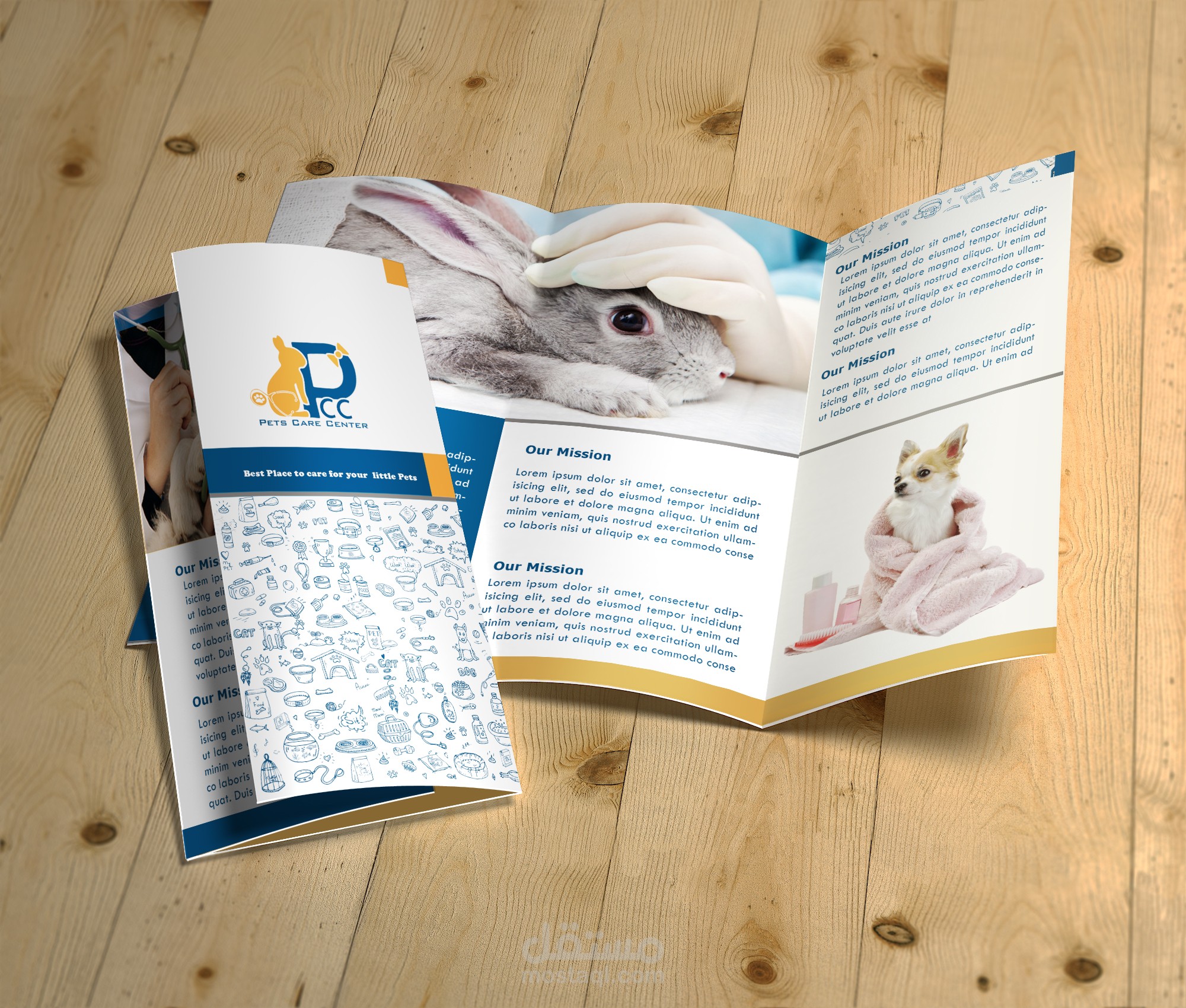 Brochure Design