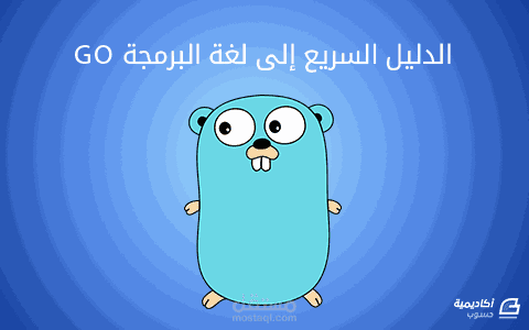 مقال لأكاديمية حسوب