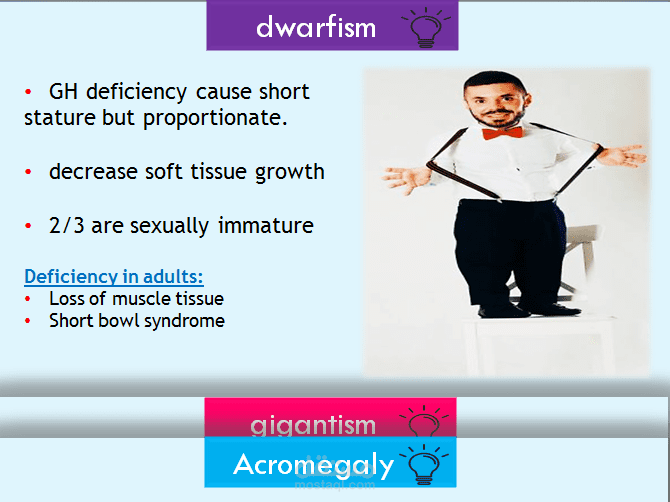 powerpoint