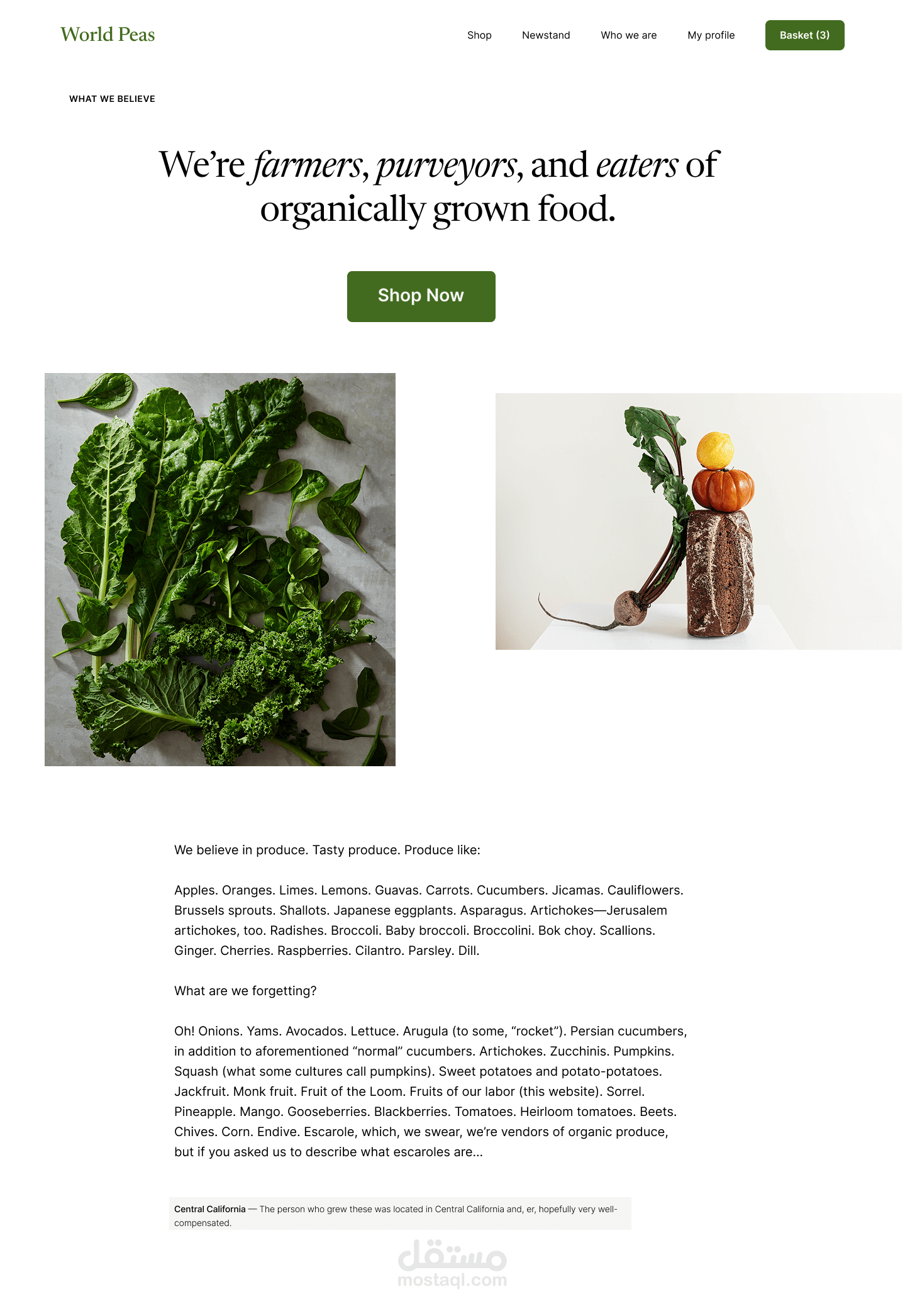 تصميم واجهة ويب World Peas – Landing Page for Organic Produce Brand