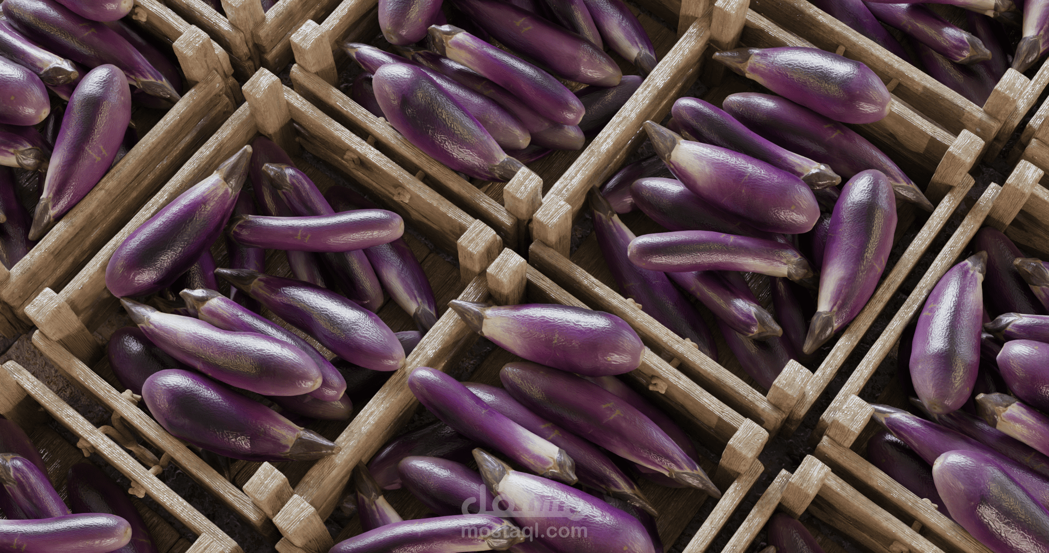 Eggplant 3D