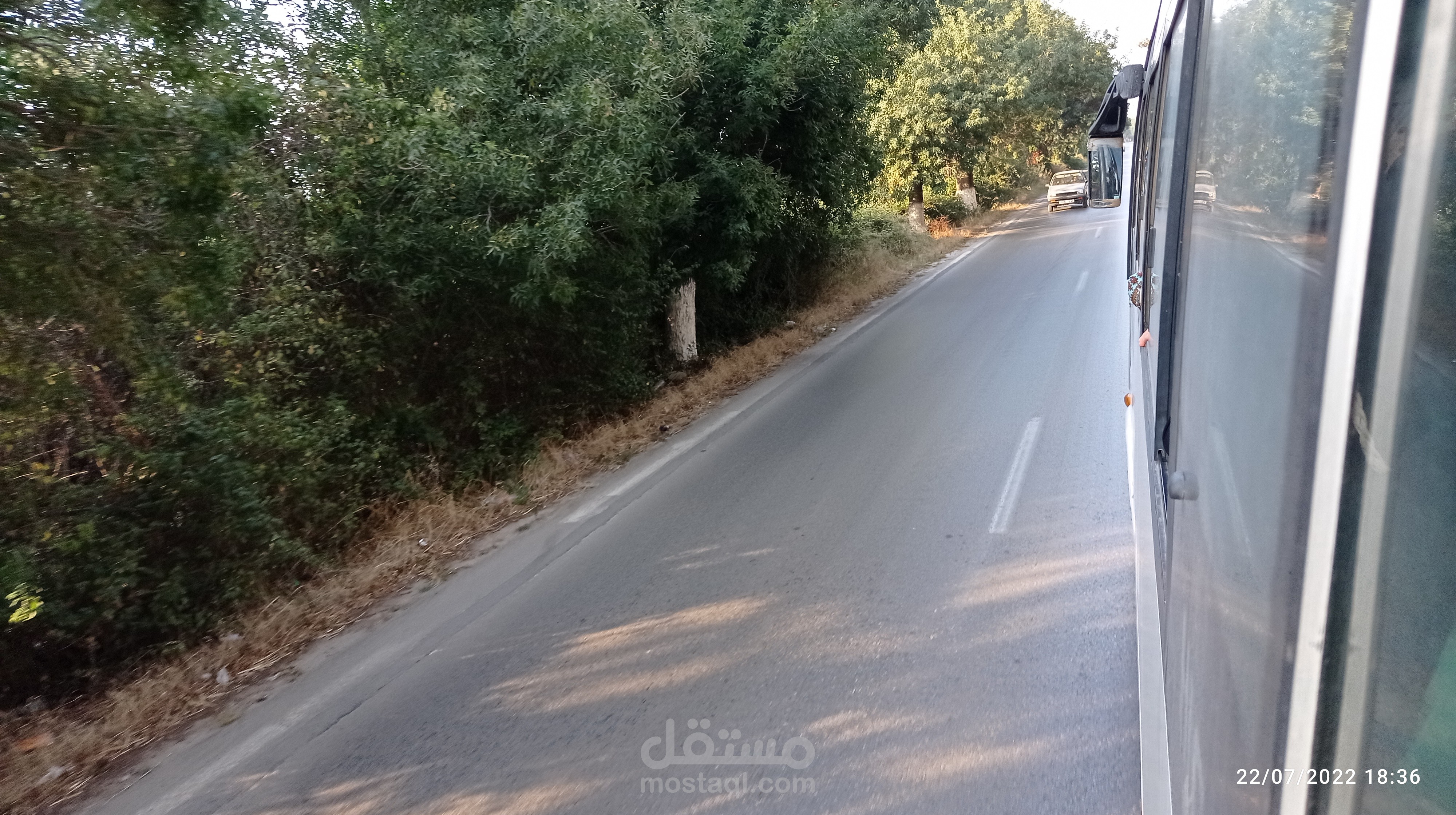 تصوير الطبيعة