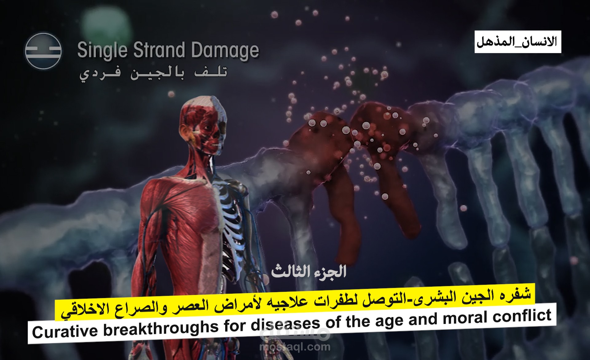 شفره الجين البشرى –(الجينات وكيف تعمل) الكروموسوم و قيادة خليه الانسان - الجزء الثاني 2