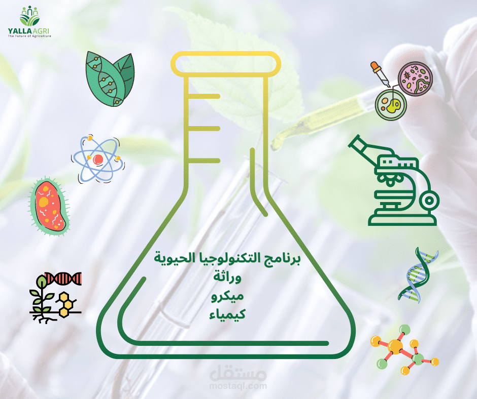 تصميم بوستات ترويجية على منصات السوشيال ميديا