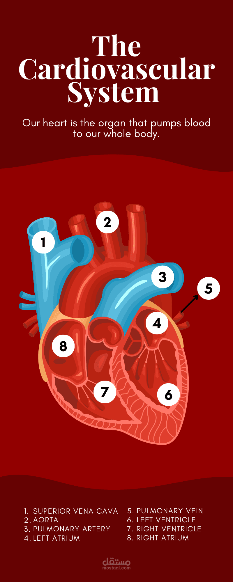 انفوجرافيك طبي