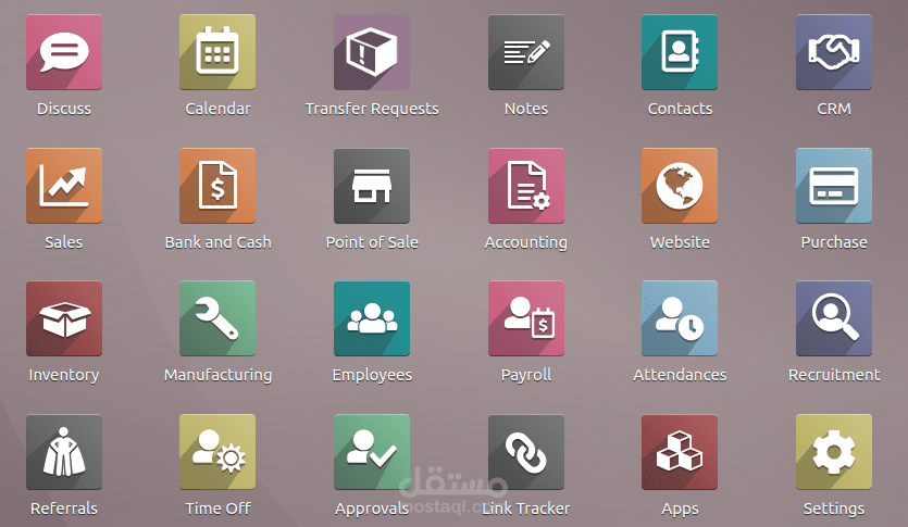 Odoo developer
