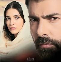 ادخال البيانات