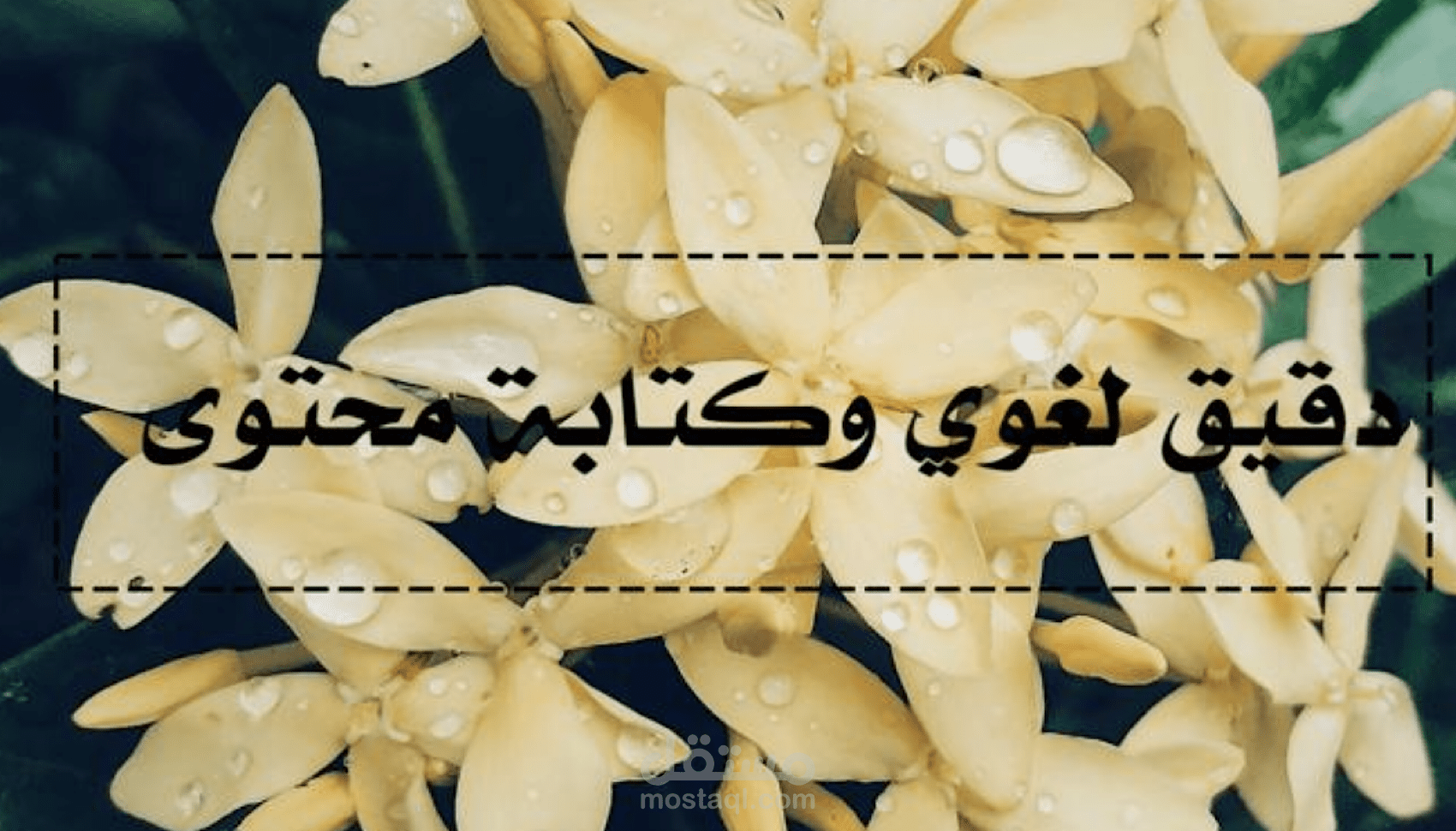 تدقيق لغوي وكتابة محتوى