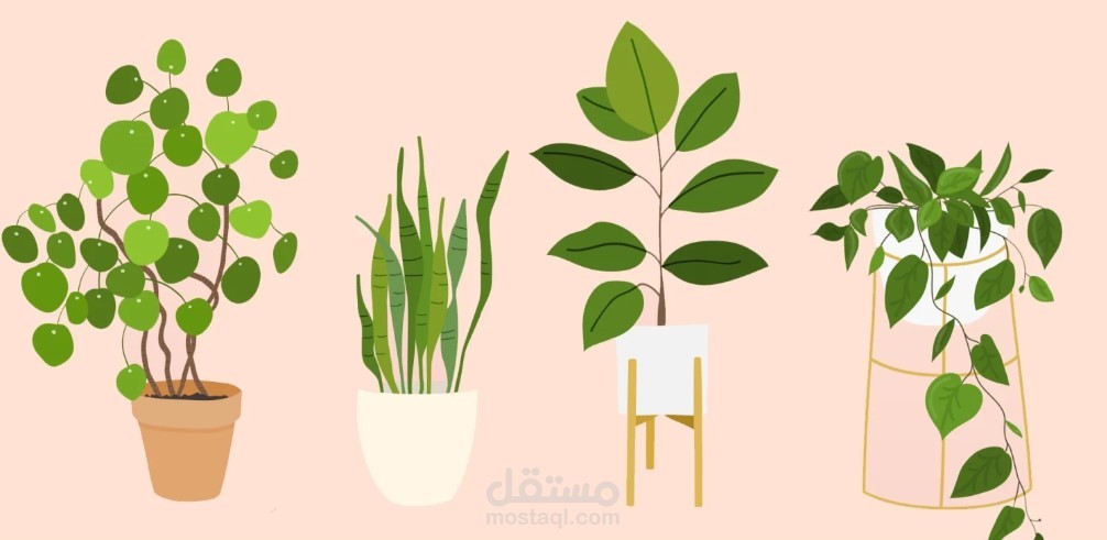 تأثير النّباتات على الحالة النّفسية للإنسان - بيان فتاحي