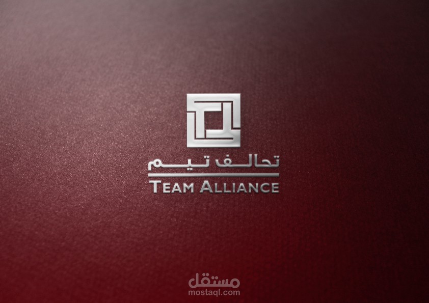 بروفايل مؤسسة تحالف تيم - Team Alliance