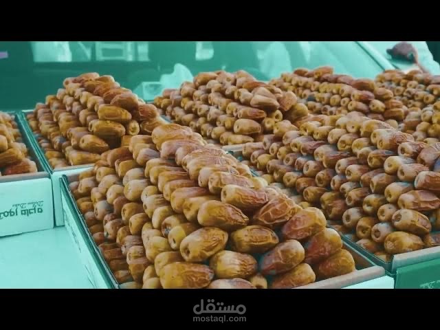 أرض النخيل