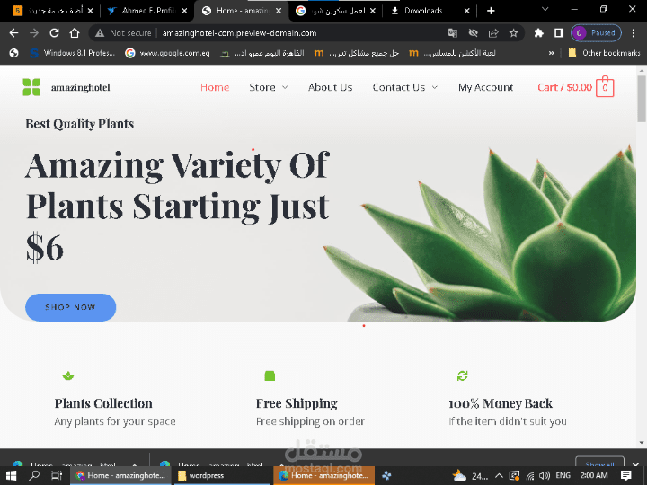مستقل ، ماهر فى تطوير صفحات الويب بلغة HTML & CSSحاصل على شهادة فى مجال ال web development و ال digital marketing من Udacity