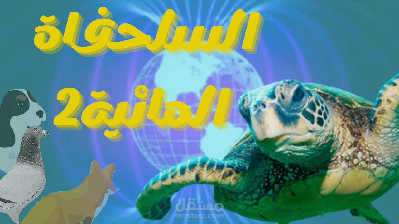 فيديو السلحفاة المائية (sea turtle)