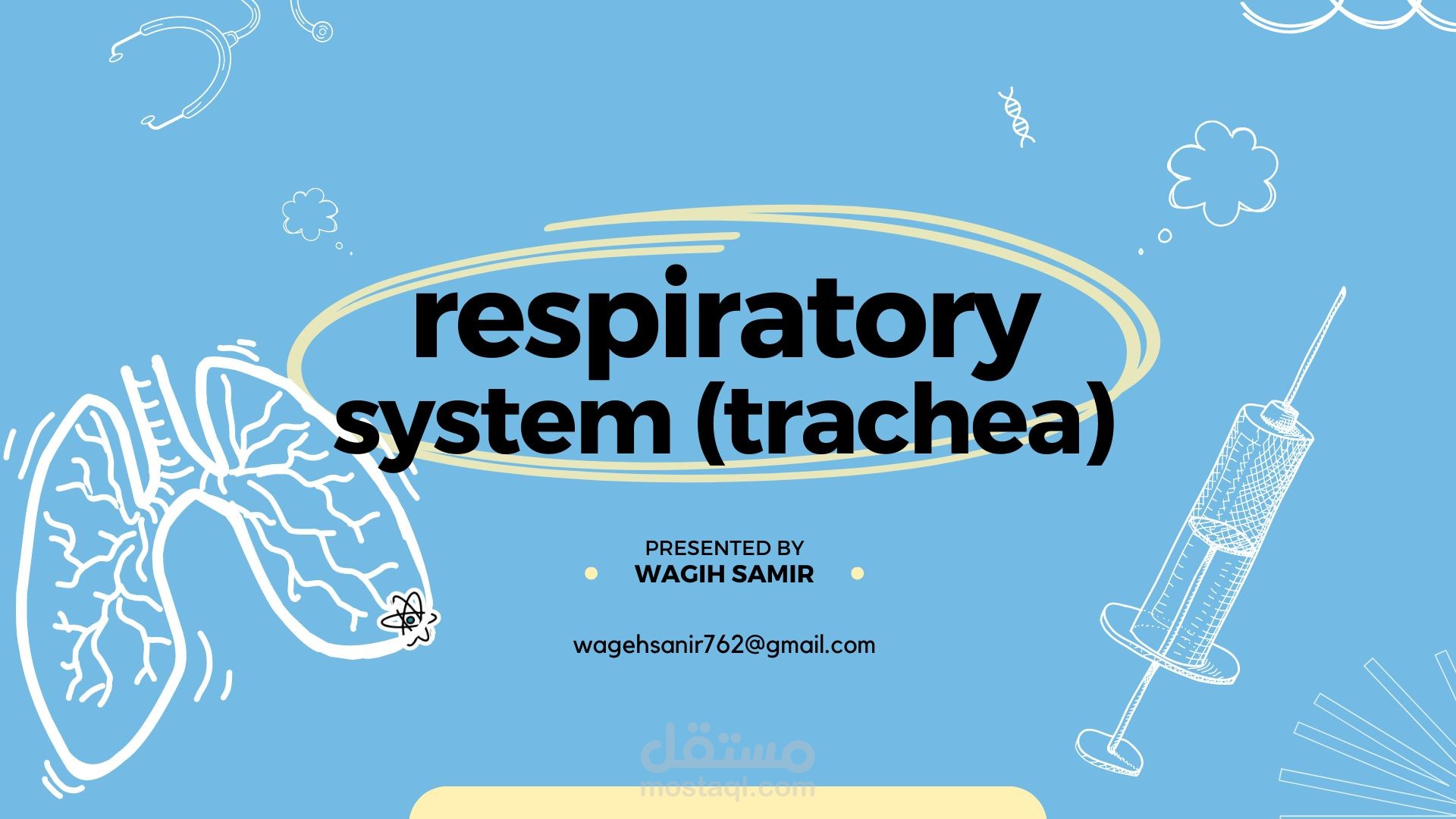 histology of respiratory system: trachea