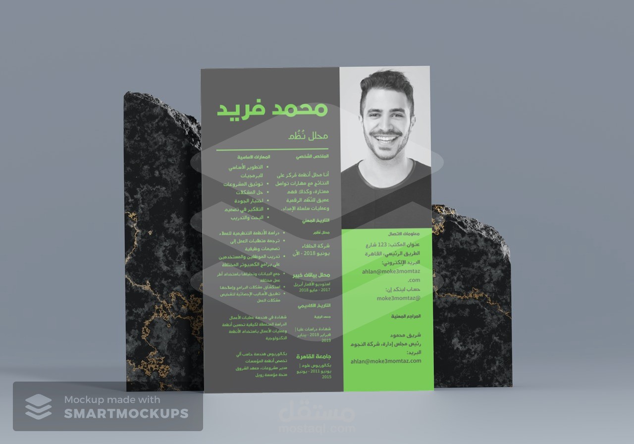 نموذج سيرة ذاتية cv لمحلل نظم