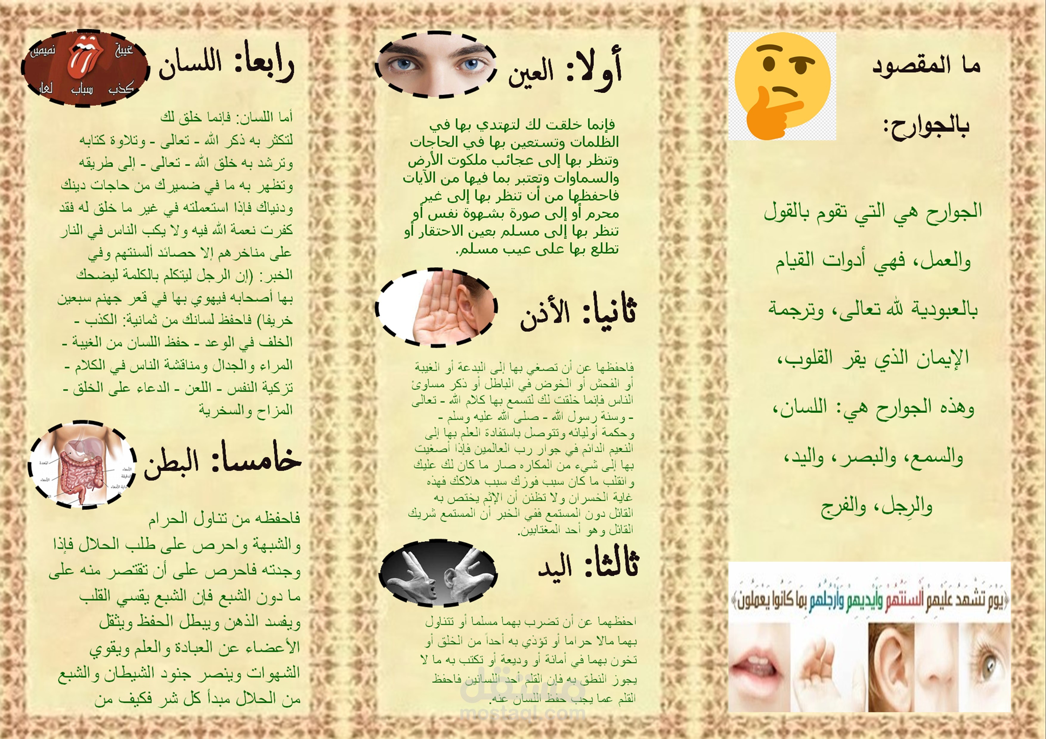 تصميم مطويات