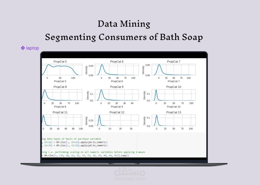 نموذج ذكاء اصطناعي باستخدام ( k-means clustering) لتصنيف العملاء